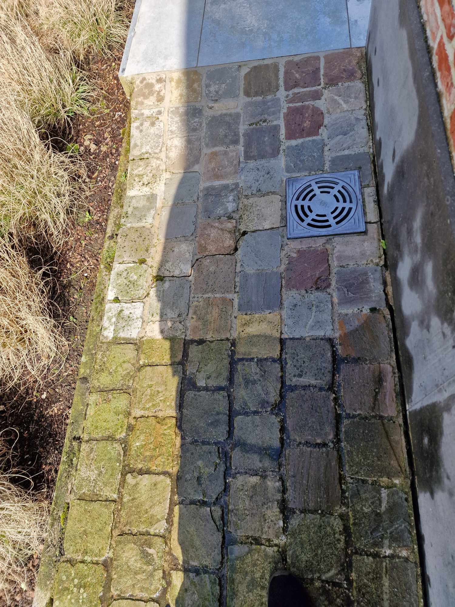 Bedrijven